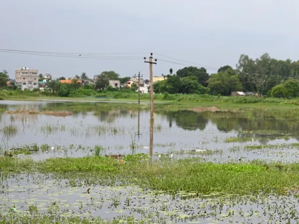 জলাশয় ভরাট রোধে পুরসভার কড়া পদক্ষেপ, নোটিস