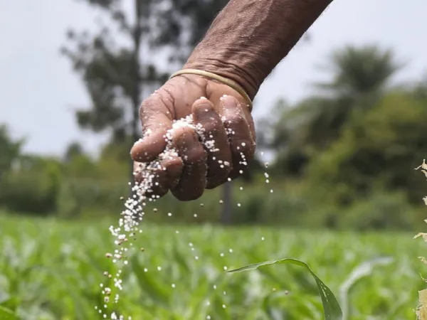 ৮০ শতাংশ ছাড় দিয়ে ভুয়ো কীটনাশক বিক্রি