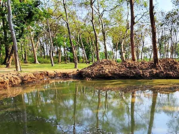 পুরসভার অভিযোগের পরেও হেলদোলই নেই, ভরাট করা হচ্ছে শান্তিনগর জলাশয়