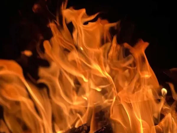দিল্লির আনন্দবিহারে অগ্নিকাণ্ড, মৃত ৩