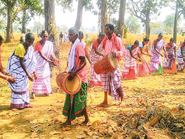 বসন্তে ‘বাহা’ পরব