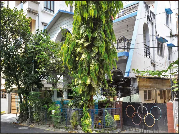 ফুটবলার পিকের সল্টলেকের বাড়িতে কেয়ারটেকারকে খুন