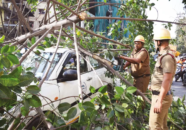 দমকা হাওয়া, বিধান রোডে গাড়ির উপর ভেঙে পড়ল গাছ