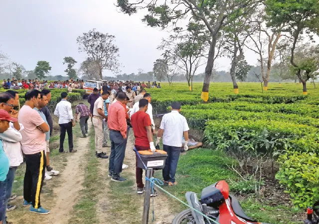 ফাঁসিদেওয়ার জয়ন্তিকা চা বাগানে সহকারী ম্যানেজার খুন, ধৃত শ্রমিক