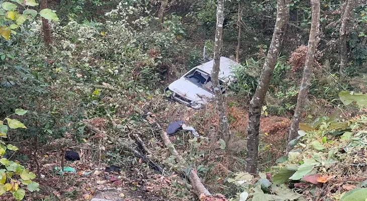 মিরিকে নিয়ন্ত্রণ হারিয়ে খাদে গাড়ি, মৃত ১