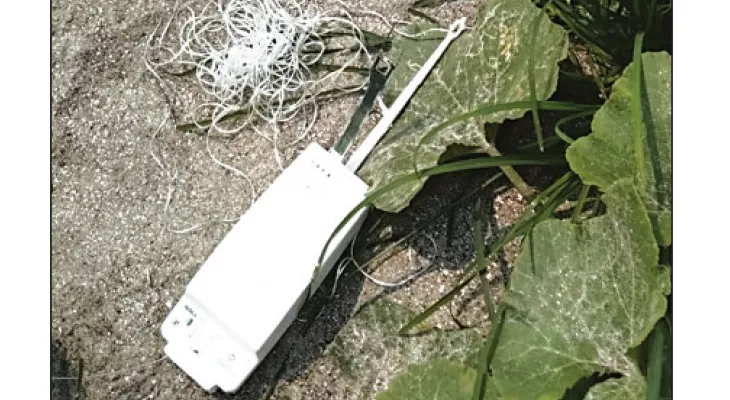 মানসাইয়ের চরে রেডিওসোন্ড, ‘অজানা’ বস্তু দেখে চাঞ্চল্য