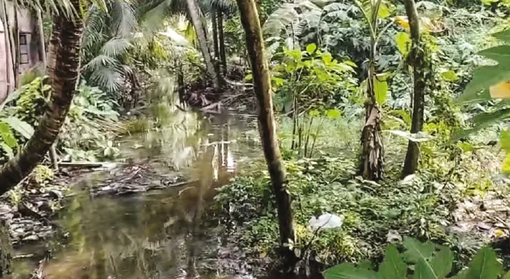 ৩৬ কোটি টাকায় জোকা, ঠাকুরপুকুরে ১৮ কিমি খাল কাটা শুরু হবে এপ্রিলে