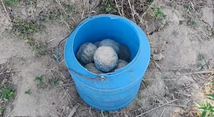 ফরাক্কা: পুলিসকে লক্ষ্য করে বোমা, জখম ৩ সিভিক ভলান্টিয়ার ও ২ পুলিসকর্মী