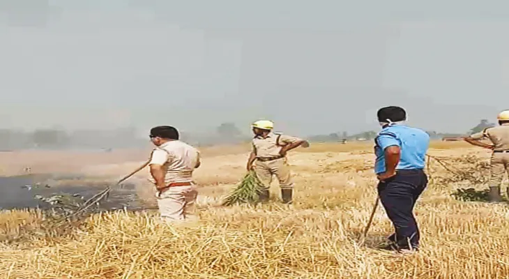 নাড়া পোড়াতে গিয়ে ৬০ বিঘার গম ছাই, ঝলসে গেলেন এক, চিন্তায় প্রশাসন