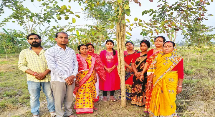 লাল চন্দন চাষে সাফল্য,‘সাকসেস স্টোরি’ হিসেবে প্রচার আয়ুষ মন্ত্রকের