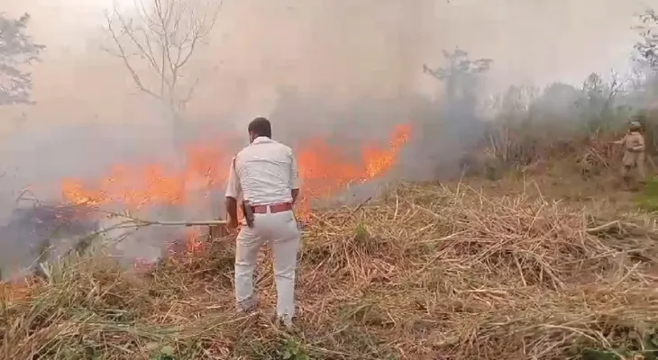 গোরুমারার জঙ্গলে শুকনো ঘাসে আগুন, ৪ ঘণ্টার চেষ্টায় নিয়ন্ত্রণে