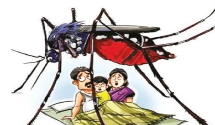 মালদহে চোখ রাঙাচ্ছে ডেঙ্গু, চার মাসে আক্রান্ত বেড়ে ৫০