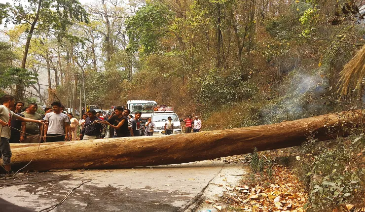 কালিম্পংয়ে গাড়ির উপর গাছ পড়ে আরামবাগের কলেজের ৮ জন জখম