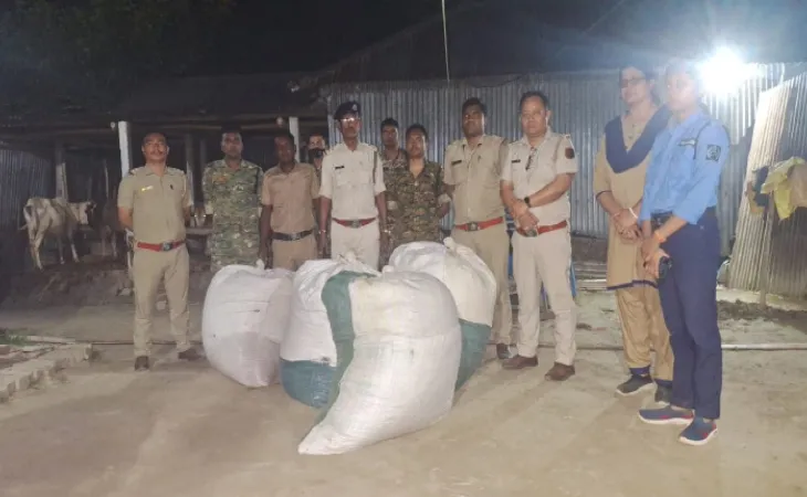 পেটলায় উঠোন খুঁড়ে ২৩৫ কেজি গাঁজা উদ্ধার