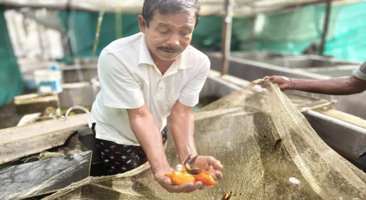 চাহিদা বাড়ছে রঙিন মাছের, হাতে-কলমে প্রশিক্ষণ নিয়ে সফল ব্যাঙকান্দির অজিত