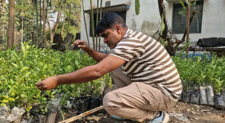 দার্জিলিংয়ে উন্নতমানের কমলা ফলাতে এনবিইউ’তে নার্সারি