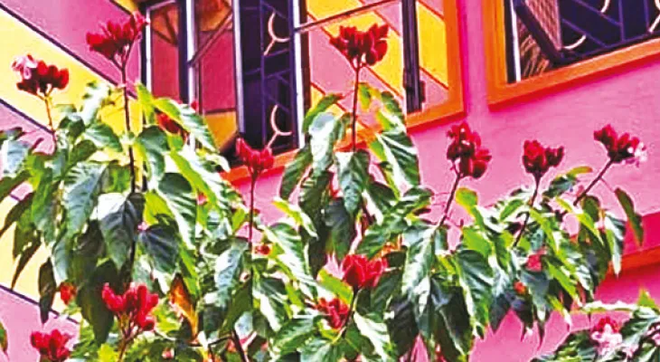 বাংলার গাছ থেকে তৈরি সিঁদুরের চাহিদা বিহার-ইউপি-দিল্লি-মুম্বইয়ে