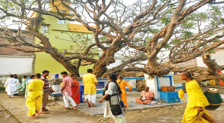 সম্প্রীতির স্মারক চাঁদকাজির সমাধি, দেখভালে চৈতন্য মঠ