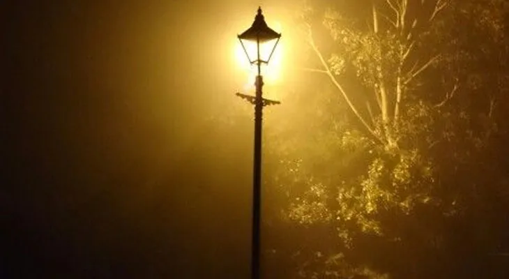 ২৪ ঘণ্টা জ্বলছে ৯০০ বাতি! পরিষেবা চাঙ্গা করতে ৬ কোটি চাইল পুরকর্তৃপক্ষ