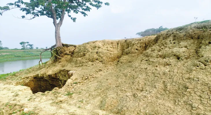 পুনর্ভবার ভাঙনে কলাইবাড়ির শ্মশান ভাঙার শঙ্কা বাসিন্দাদের