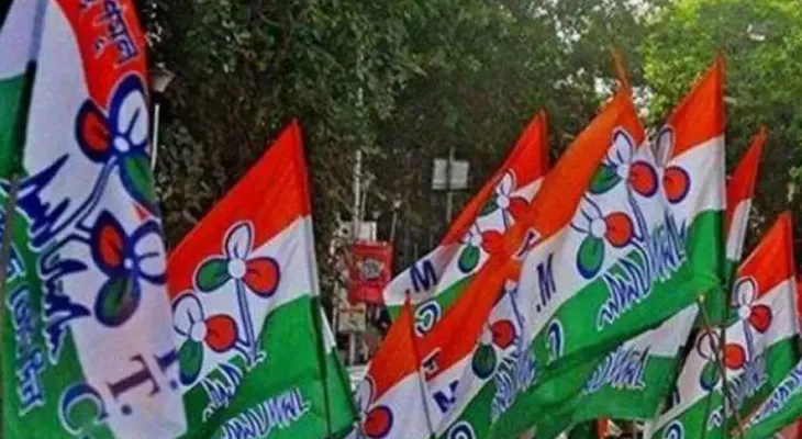 ভুয়ো ভোটার ধরার কাজে সক্রিয় ছিলেন কারা, জানলেন জেলা তৃণমূল সভাপতি