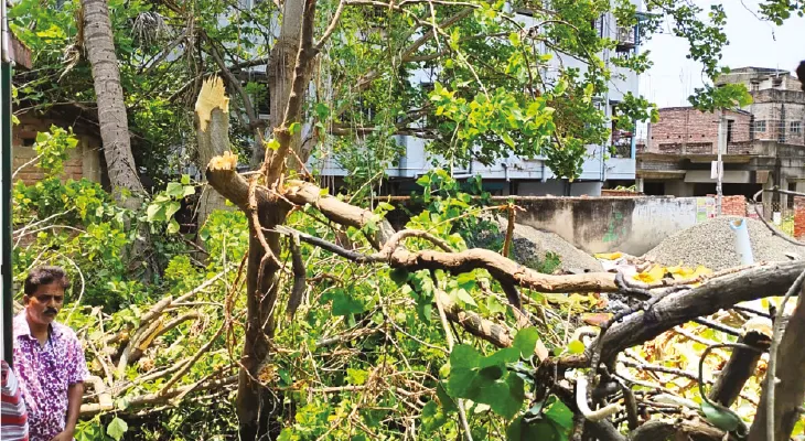 ঝড় ও শিলাবৃষ্টিতে লন্ডভন্ড হুগলির ২ ব্লক