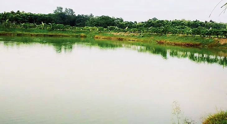 পুকুর বোজানোর চেষ্টা, দ্রুত সংস্কারের  নির্দেশ দিয়ে নোটিস পাঠাচ্ছে পুরসভা