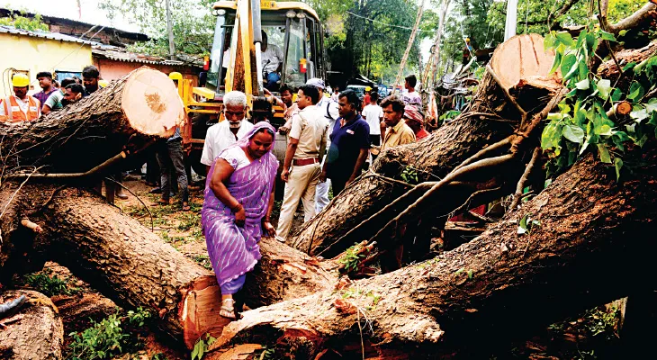 হঠাৎ ঝড়-বৃষ্টি, হাওড়ায় গাছ ভেঙে জখম তিন, জল জমল উত্তর শহরতলির রাস্তায়