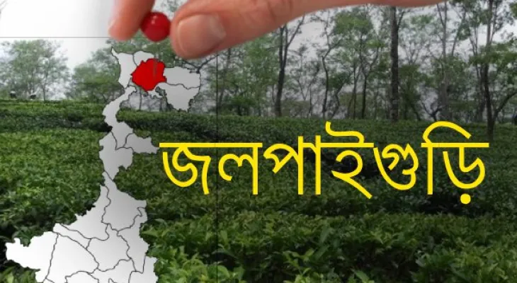 ক্লাসে ছাত্রীর শ্লীলতাহানি: স্কুল কর্তৃপক্ষকে তলব সিডব্লুসি’র, প্রিন্সিপালের পদত্যাগের দাবিতে সরব প্রাক্তনীরা
