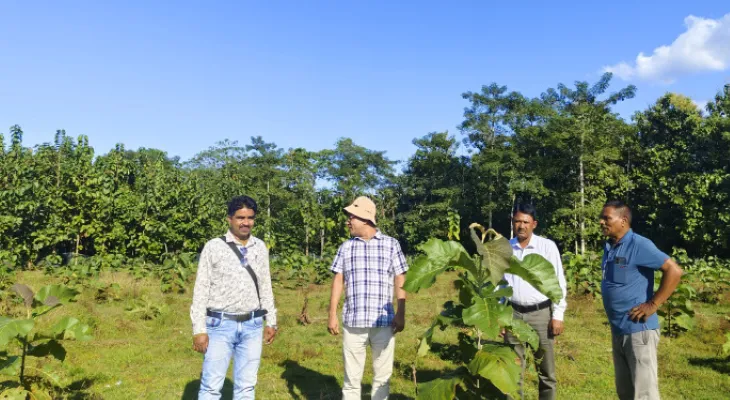 দুই জেলার ১২ ব্লকে ১০ হাজার ৬০০ গাছ লাগাবে সাতমাইল সতীশ ক্লাব ও পাঠাগার