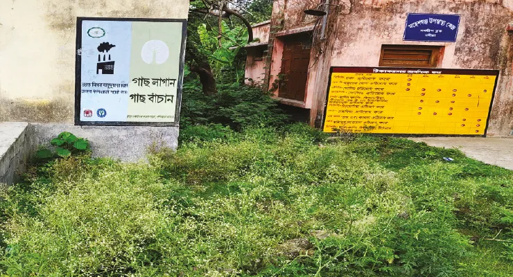 বিষাক্ত পার্থেনিয়ামে ছেয়ে গিয়েছে মহেশগঞ্জ গ্রামীণ হাসপাতালের চত্বর, উদাসীন কর্তৃপক্ষ