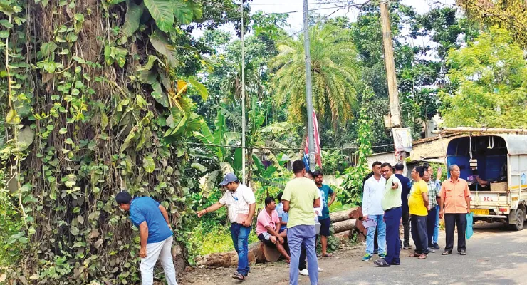 দ্রুত কেটে ফেলা হবে যশোর রোডের দুই পাশের মৃত গাছ
