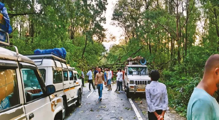 ঝড়বৃষ্টিতে সেভক, চালসা সহ বিভিন্ন এলাকায় গাছ পড়ে যান চলাচল ব্যাহত