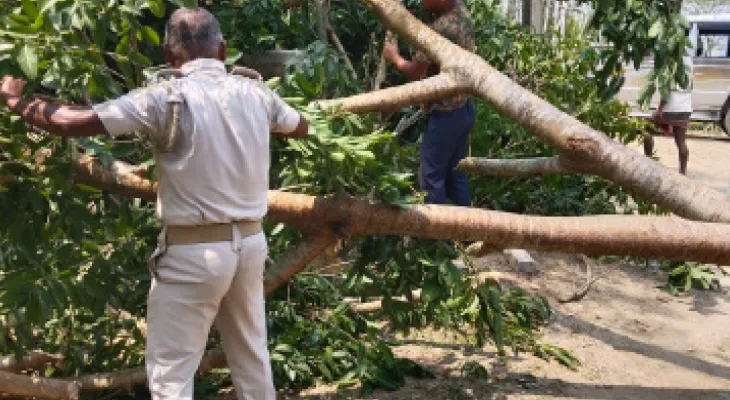 ভেঙে পড়া গাছ কাটতে,  ঘর সংস্কারে হাত দিল ময়নাগুড়ি থানার পুলিস