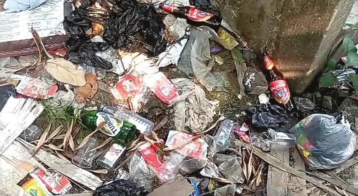 নেশার আসরের প্রতিবাদ করায় মারধর যুবককে, পাড়ায় ঢুকে দুষ্কৃতীদের তাণ্ডব