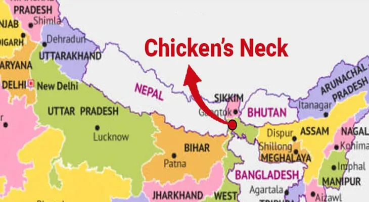 পাকিস্তানের নির্দেশেই চিকেনস নেকে ‘প্রাক্তন বাংলাদেশি গোয়েন্দা’র ঘাঁটি?