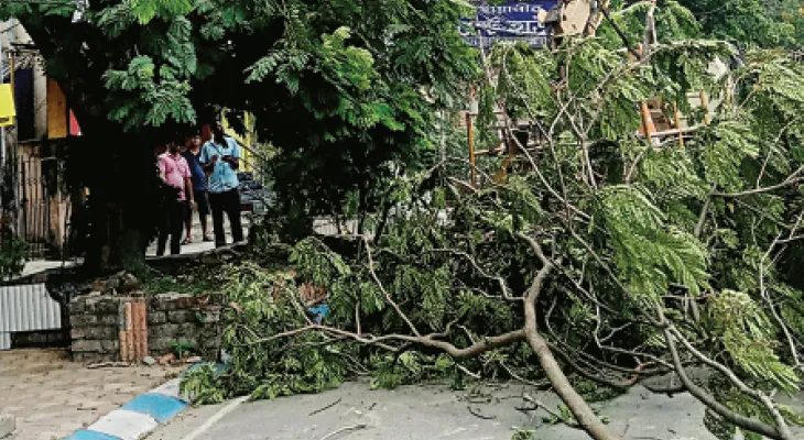 ঘণ্টায় ৬৫ কিমির ঝড় আর ‘দানবীয়’ মেঘের বৃষ্টিতেই তাণ্ডব,  চলতি সপ্তাহেই ফের কালবৈশাখীর সম্ভাবনা শহর-শহরতলিতে