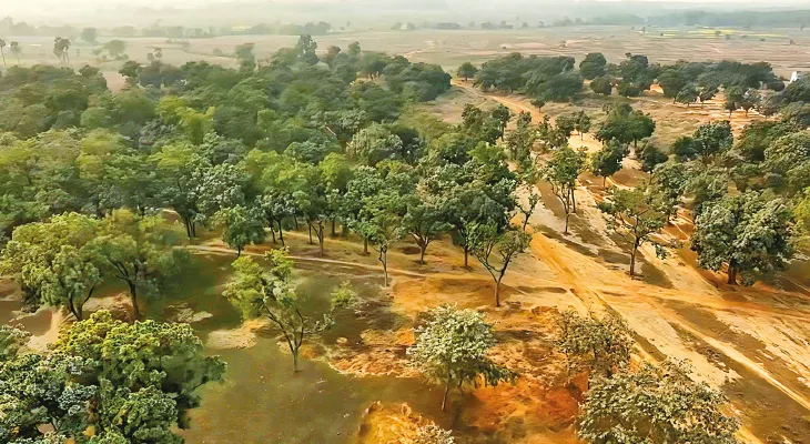 পাথুরে এলাকায় অল্প জলে লাভজনক শস্যচাষের উদ্যোগ