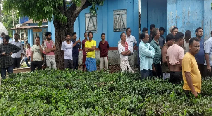 স্কুলের জমি দখল করে চা বাগান তৈরির অভিযোগ, পরিদর্শনে খোদ বিএলআরও