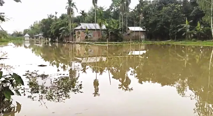 পাহাড়ে ভারী বৃষ্টি, জল বাড়ছে তিস্তায়, নজর রাখছে প্রশাসন