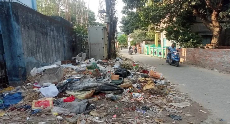 ৩৮৩টি পুর এলাকায় অনিয়মিত আবর্জনা সাফাই, মশাবাহিত রোগ ছড়ানোর আশঙ্কা