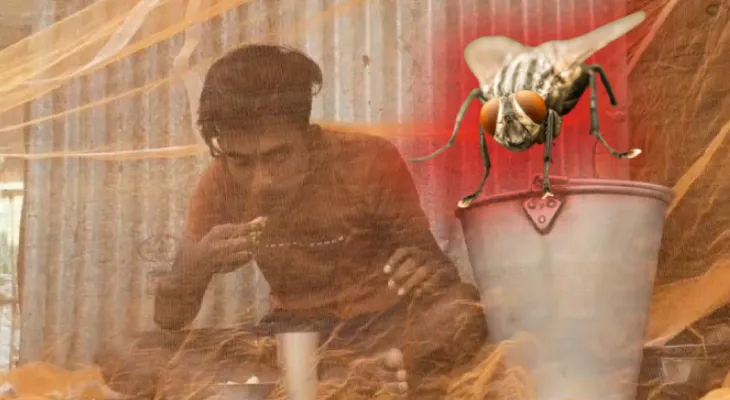 মাছির ‘আতঙ্কে’ মশারিবন্দী ৬টি গ্রাম! ১৫ জন ইতিমধ্যেই অসুস্থ হওয়ার দাবি