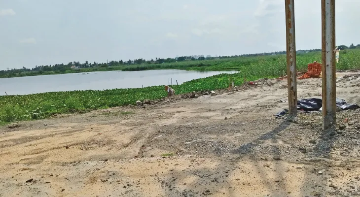 এবার জমি হাঙররা থাবা বসাল কল্যাণী এক্সপ্রেসওয়ে লাগোয়া ‘খেপলির বিলে’
