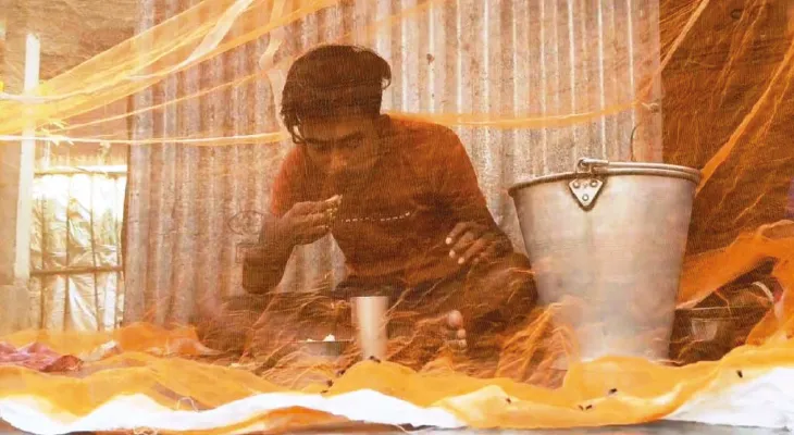 রান্না থেকে খাওয়া, মাছির দাপটে মশারির ভিতরে দিন কাটে ৬টি গ্রামের বাসিন্দাদের