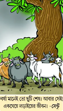 মজারু