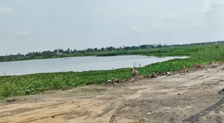 খেপলির বিল ভরাটের বিরুদ্ধে কড়া প্রশাসন, জমি মালিকদের চিহ্নিত করে শো-কজের নোটিস