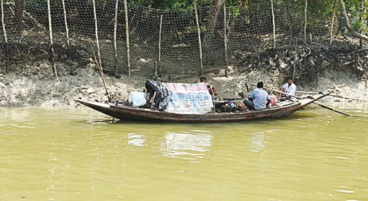 নতুন জাল টাঙানোর প্রস্তুতি সুন্দরবন ব্যাঘ্র প্রকল্প কর্তৃপক্ষের