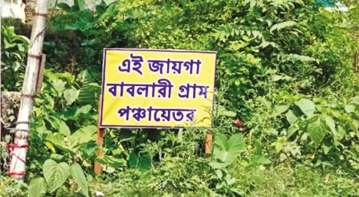 দালালচক্রের হাত থেকে জমি বাঁচাতে সক্রিয় নবদ্বীপের বাবলারি পঞ্চায়েত