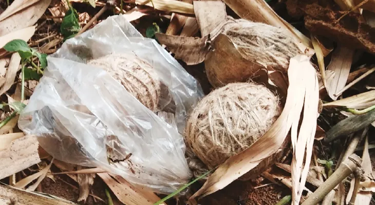 সামশেরগঞ্জে ফের বোমা উদ্ধার