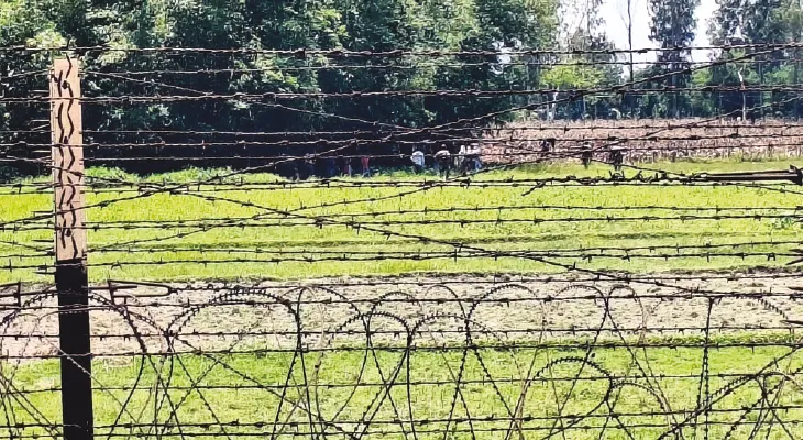 অনুপ্রবেশ রুখে দিল বিএসএফ, নো ম্যানস ল্যান্ডে আটকে বহু